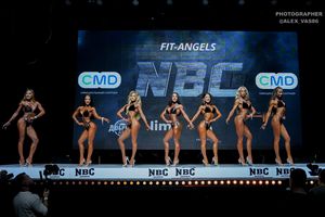 FIT-ANGELS ( 1 раунд)